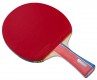 122253 R2P Competition III bat 72dpi rgb Webshop