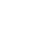 andro Logo